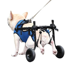 Pet Disabled Dog Wheelchair ScooterUnique Design  Our pet car chair allows pets with foot problems, free to walk, run, play ,return to normal life. Heart-warming design allows pets to move around and Pet Disabled Dog Wheelchair ScooterpetjoyzpetjoyzPet Disabled Dog Wheelchair Scooter