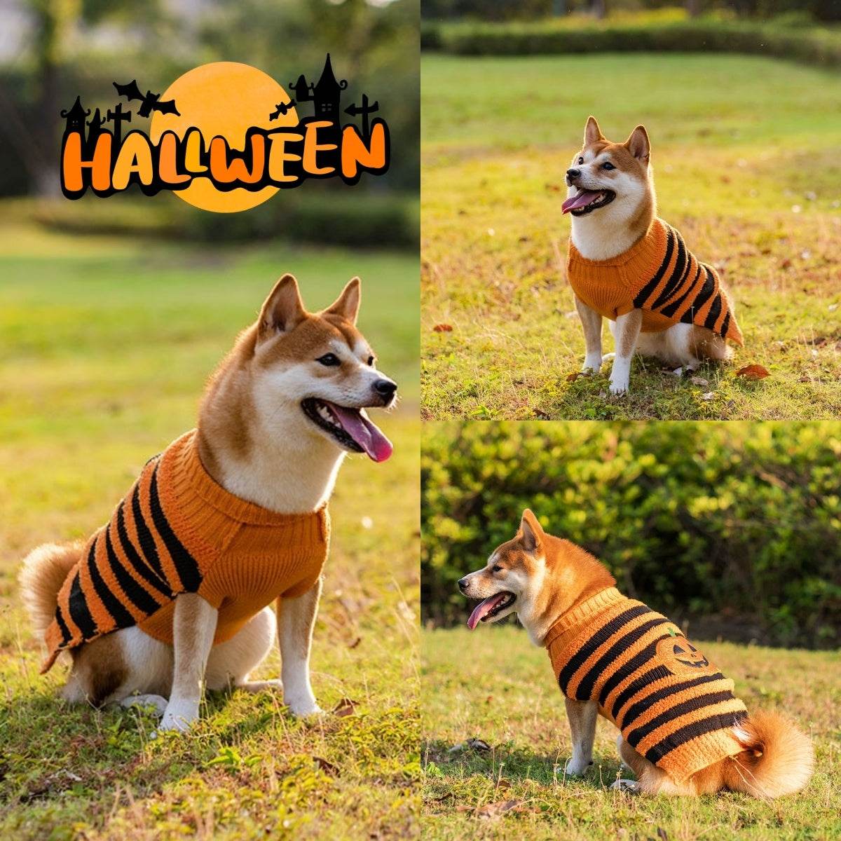 Halloween Dog Warm Leisure SweaterGet your furry friend ready for the spooky season with our Halloween Pet Sweater! This cozy and stylish sweater is designed to add a strong Halloween festival atmospHalloween Dog Warm Leisure SweaterpetjoyzpetjoyzHalloween Dog Warm Leisure Sweater