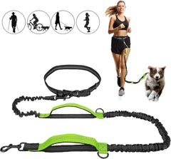 Achort Hand Free Dog Lead, Dog Walking Belt Ajustable Dog LeashDurable, Light, Strong &amp; Rust-Free CarabinersOur carabiners are crafted from aero-grade aluminum alloy with a polished finish, making them elegant, strong, practAchort Hand Free Dog Lead, Dog Walking Belt Ajustable Dog LeashpetjoyzpetjoyzAchort Hand Free Dog Lead, Dog Walking Belt Ajustable Dog Leash