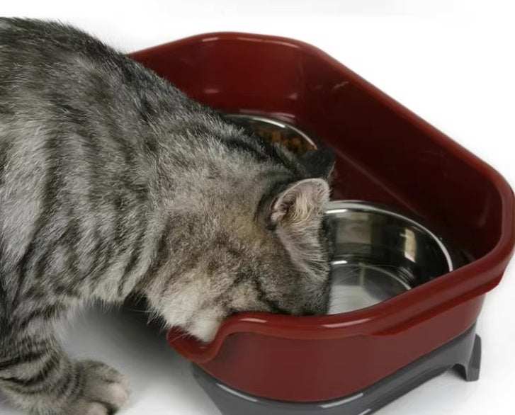 Neater Feeder Cat Bowl Healthier Eating EnvironmentThe Neater Feeder is the only feeding system on the market that manages the mess by containing and separating spilled food from spilled water! No more cleaning up evNeater Feeder Cat BowlpetjoyzpetjoyzNeater Feeder Cat Bowl Healthier Eating Environment