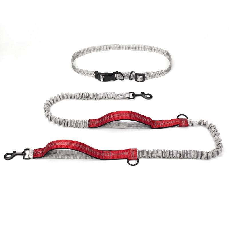 Achort Hand Free Dog Lead, Dog Walking Belt Ajustable Dog LeashDurable, Light, Strong &amp; Rust-Free CarabinersOur carabiners are crafted from aero-grade aluminum alloy with a polished finish, making them elegant, strong, practAchort Hand Free Dog Lead, Dog Walking Belt Ajustable Dog LeashpetjoyzpetjoyzAchort Hand Free Dog Lead, Dog Walking Belt Ajustable Dog Leash