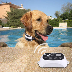 Wireless Electronic Pet Fence SystemEnsure your pet's safety and freedom with our advanced Wireless Pet Containment System. Designed to offer a hassle-free, secure boundary for your furry friend, this Wireless Electronic Pet Fence SystempetjoyzpetjoyzWireless Electronic Pet Fence System