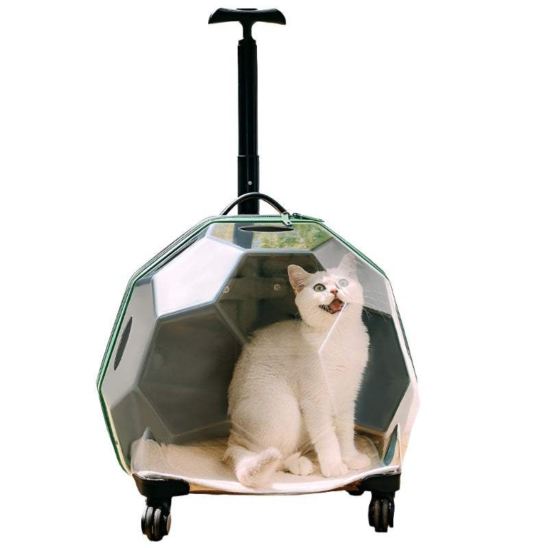 Trolley Portable Cat LuggageMake moves in style with this charming kitty carrier. Our Bubble Luggage is designed to give your cat or small dog a comfortable view as you make your way to your deTrolley Portable Cat LuggagepetjoyzpetjoyzTrolley Portable Cat Luggage