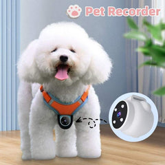 Pet Tracker Collar Dogs And Cats ViewingCapture the world from your pet's perspective with our innovative Pet Camera Collar. This advanced device combines a high-resolution video recorder and a GPS trackerPet Tracker Collar Dogs And Cats ViewingpetjoyzpetjoyzPet Tracker Collar Dogs