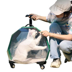 Trolley Portable Cat LuggageMake moves in style with this charming kitty carrier. Our Bubble Luggage is designed to give your cat or small dog a comfortable view as you make your way to your deTrolley Portable Cat LuggagepetjoyzpetjoyzTrolley Portable Cat Luggage