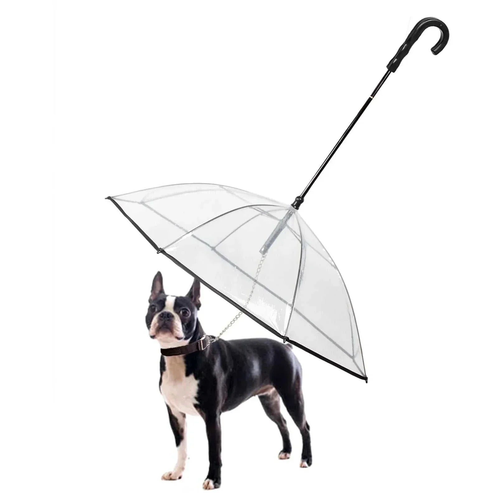 Transparent Dog Umbrella